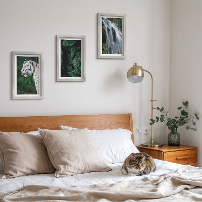 Lot de 3 tableaux Feuilles de tigre blanc et cascade dans un environnement naturel