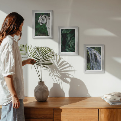 Lot de 3 tableaux Feuilles de tigre blanc et cascade dans un environnement naturel