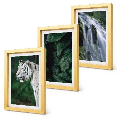 Lot de 3 tableaux Feuilles de tigre blanc et cascade dans un environnement naturel