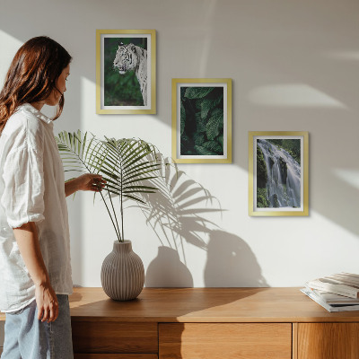 Lot de 3 tableaux Feuilles de tigre blanc et cascade dans un environnement naturel