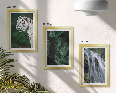 Lot de 3 tableaux Feuilles de tigre blanc et cascade dans un environnement naturel