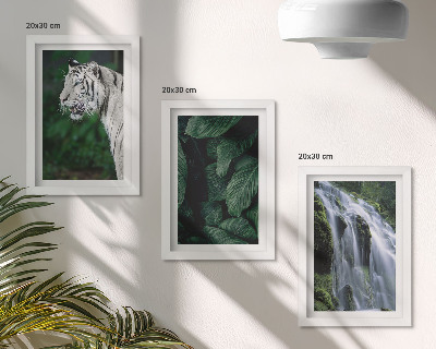 Lot de 3 tableaux Feuilles de tigre blanc et cascade dans un environnement naturel