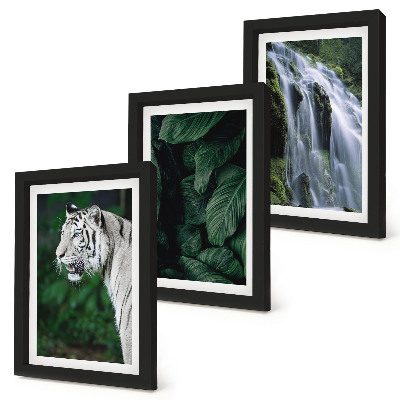 Lot de 3 tableaux Feuilles de tigre blanc et cascade dans un environnement naturel
