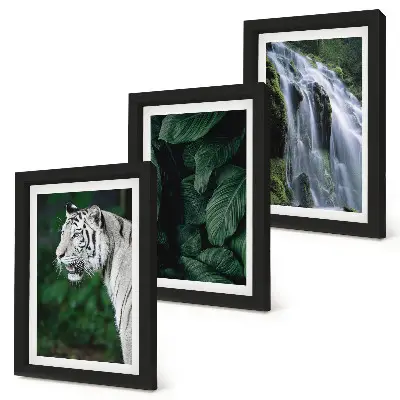 Lot de 3 tableaux représentant des feuilles de tigre blanc et une cascade dans la nature