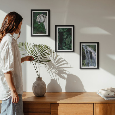 Lot de 3 tableaux Feuilles de tigre blanc et cascade dans un environnement naturel