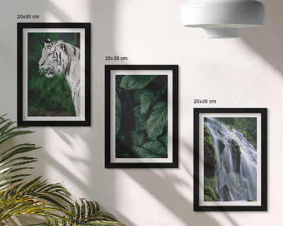 Lot de 3 tableaux Feuilles de tigre blanc et cascade dans un environnement naturel