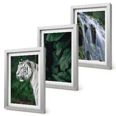 Lot de 3 tableaux Feuilles de tigre blanc et cascade dans un environnement naturel
