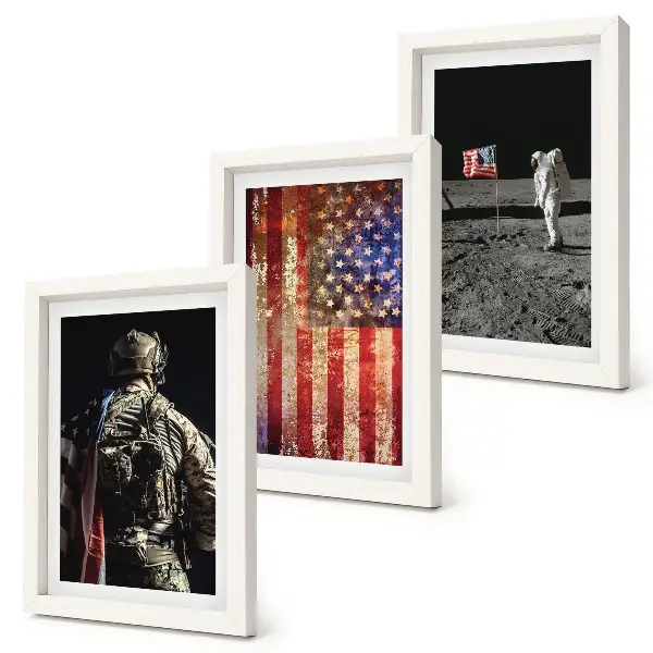 Ensemble de 3 tableaux représentant les symboles nationaux et le drapeau des États-Unis