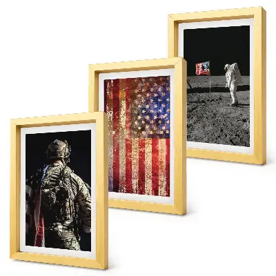 Ensemble de 3 tableaux représentant les symboles nationaux et le drapeau des États-Unis