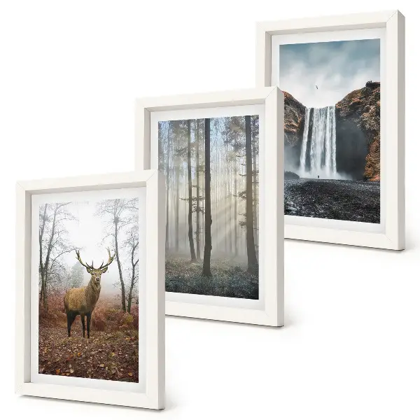 Ensemble de 3 tableaux représentant des paysages forestiers avec une nature sauvage et des cerfs
