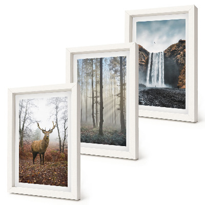 Ensemble de 3 tableaux Paysages forestiers, nature sauvage, cerfs