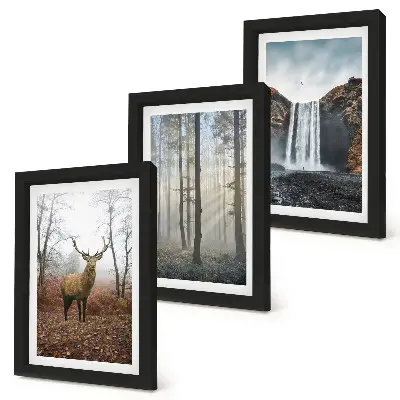 Ensemble de 3 tableaux représentant des paysages forestiers avec une nature sauvage et des cerfs