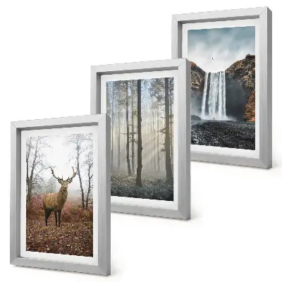 Ensemble de 3 tableaux représentant des paysages forestiers avec une nature sauvage et des cerfs