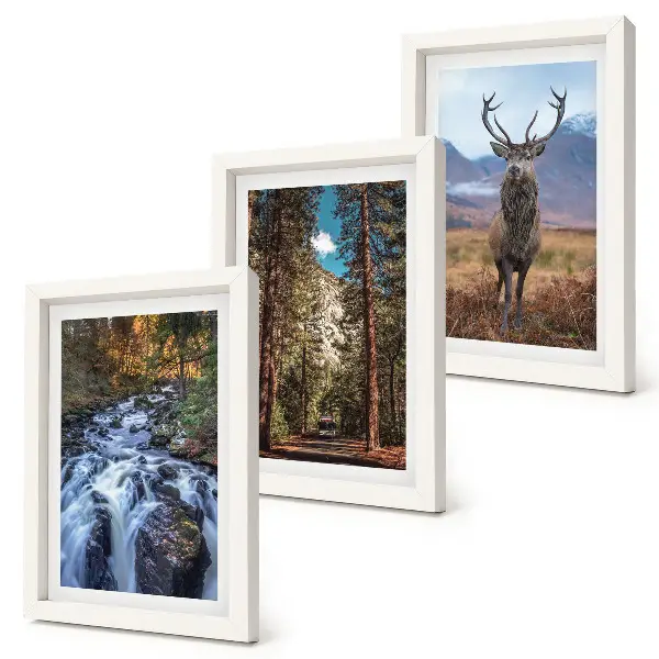 Mur de cadres cascade dans la forêt avec montagnes et cerfs dans la nature