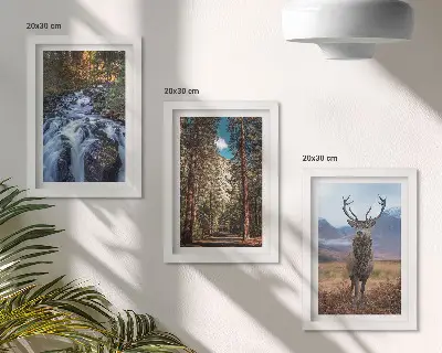 Mur de cadres cascade dans la forêt avec montagnes et cerfs dans la nature