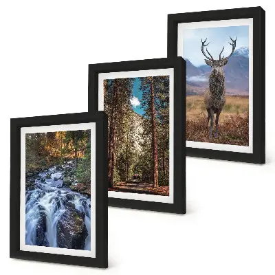 Mur de cadres cascade dans la forêt avec montagnes et cerfs dans la nature