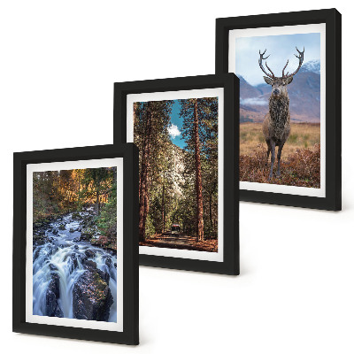 Mur de cadres Cascade dans la forêt, montagnes et cerfs dans la nature