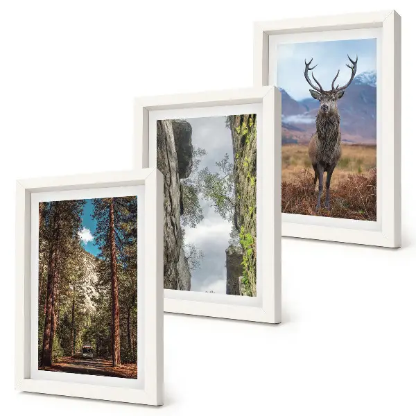 Tableaux Route en forêt, montagnes et cerfs lot de 3 pièces