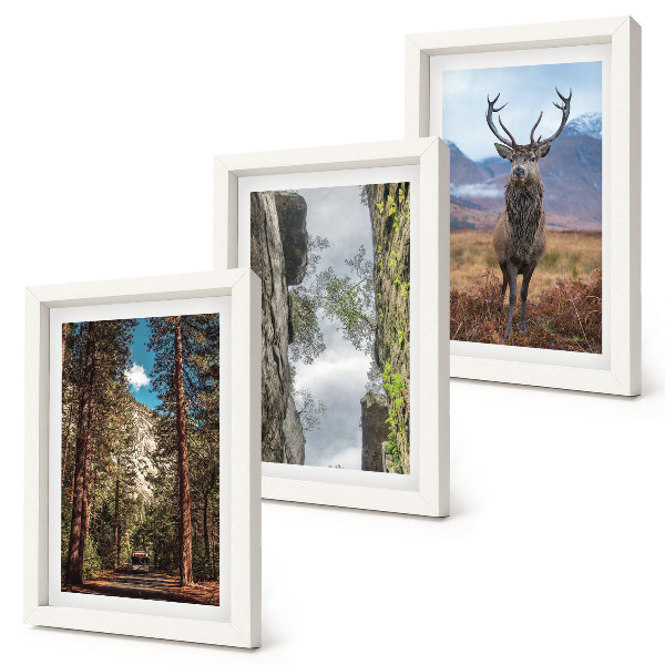 Lot de 3 tableaux Route en forêt, montagnes et cerfs en pleine nature