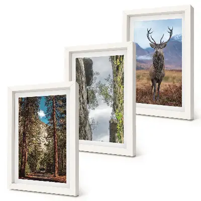 Tableaux Route en forêt, montagnes et cerfs lot de 3 pièces