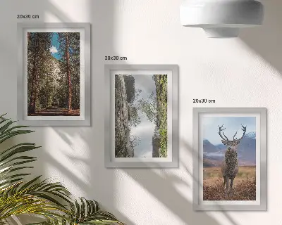 Tableaux Route en forêt, montagnes et cerfs lot de 3 pièces