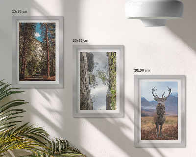 Lot de 3 tableaux Route en forêt, montagnes et cerfs en pleine nature