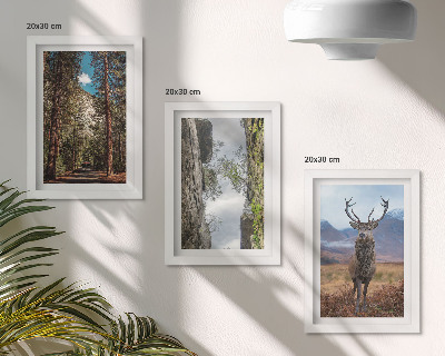 Lot de 3 tableaux Route en forêt, montagnes et cerfs en pleine nature
