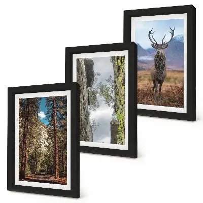 Tableaux Route en forêt, montagnes et cerfs lot de 3 pièces
