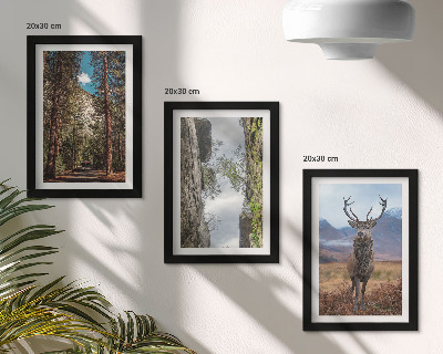 Lot de 3 tableaux Route en forêt, montagnes et cerfs en pleine nature