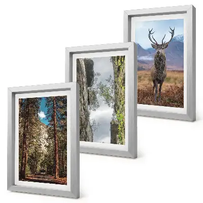 Tableaux Route en forêt, montagnes et cerfs lot de 3 pièces