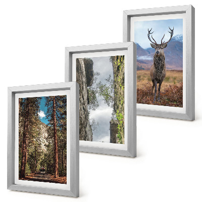 Lot de 3 tableaux Route en forêt, montagnes et cerfs en pleine nature
