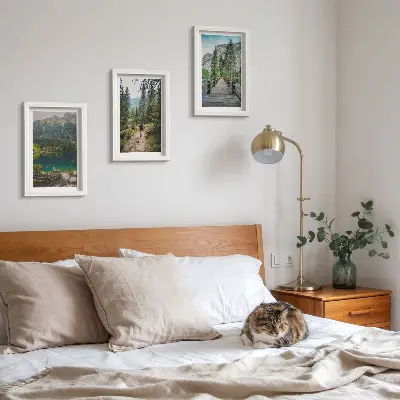 Ensemble de 3 tableaux représentant des montagnes, des lacs, des forêts et des sentiers dans la nature