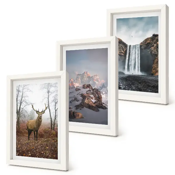 Lot de 3 tableaux représentant des paysages naturels sauvages avec des montagnes, des cerfs et des cascades
