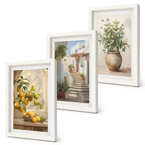 Lot de 3 tableaux Citrons dans un vase et plantes dans une architecture blanche
