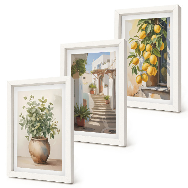 Lot de 3 tableaux Plantes en pot et citrons sur fond de rue