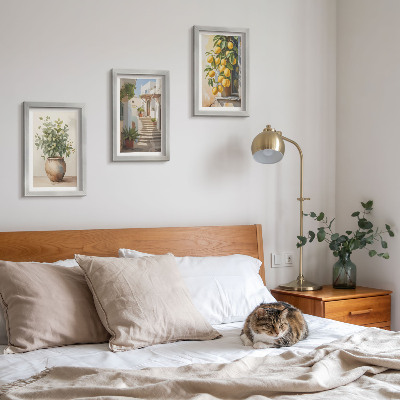 Lot de 3 tableaux Plantes en pot et citrons sur fond de rue