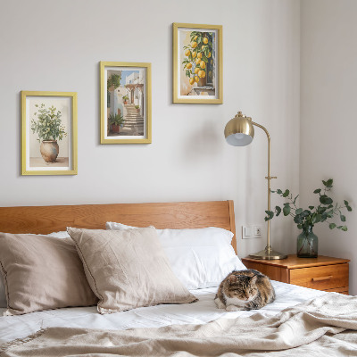 Lot de 3 tableaux Plantes en pot et citrons sur fond de rue