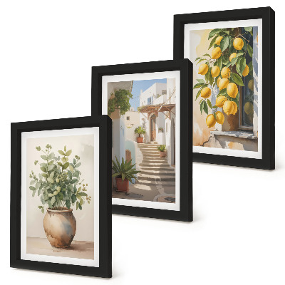 Lot de 3 tableaux Plantes en pot et citrons sur fond de rue