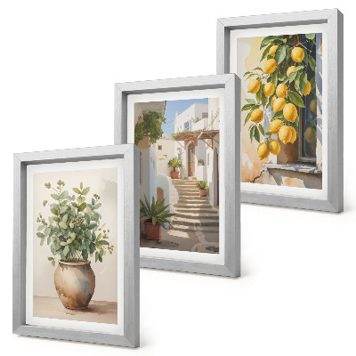 Lot de 3 tableaux Plantes en pot et citrons sur fond de rue