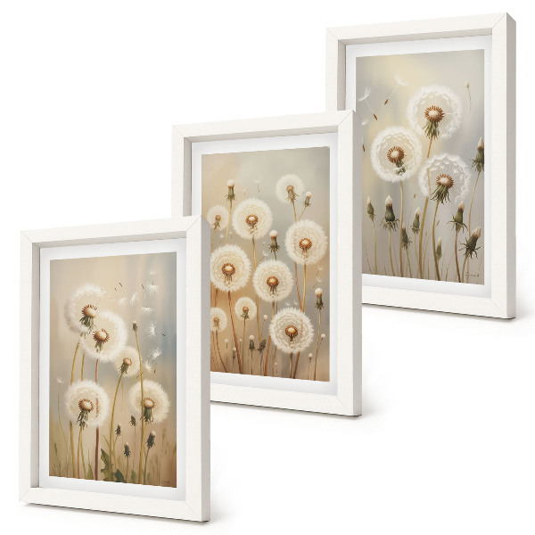 Lot de 3 tableaux Des pissenlits blancs sur un fond de couleurs vives