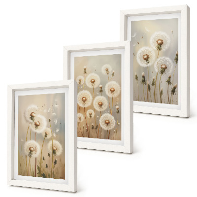 Lot de 3 tableaux Des pissenlits blancs sur un fond de couleurs vives