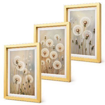 Lot de 3 tableaux Des pissenlits blancs sur un fond de couleurs vives