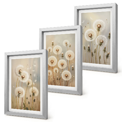 Lot de 3 tableaux Des pissenlits blancs sur un fond de couleurs vives