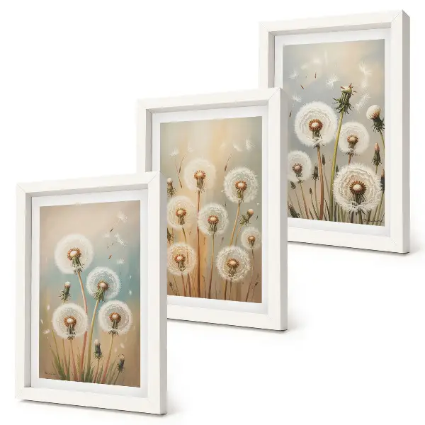 Ensemble de 3 tableaux fleurs de pissenlit sur fond de couleurs pastel