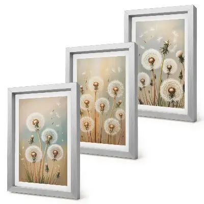 Ensemble de 3 tableaux fleurs de pissenlit sur fond de couleurs pastel