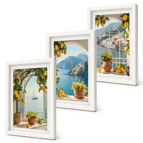 Lot de 3 tableaux Citrons et fleurs en pot dans une ville balnéaire