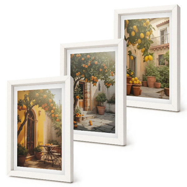 Lot de 3 tableaux Terrasse ensoleillée avec agrumes et pots