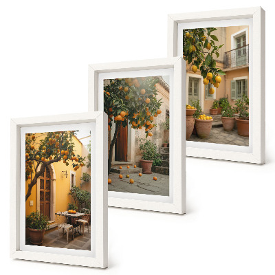 Ensemble de 3 tableaux Un jardin avec des agrumes dans un cadre ensoleillé