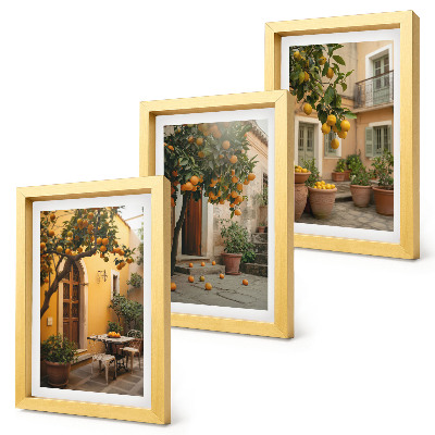 Ensemble de 3 tableaux Un jardin avec des agrumes dans un cadre ensoleillé