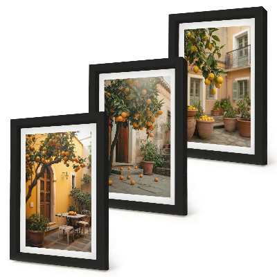Ensemble de 3 tableaux Un jardin avec des agrumes dans un cadre ensoleillé